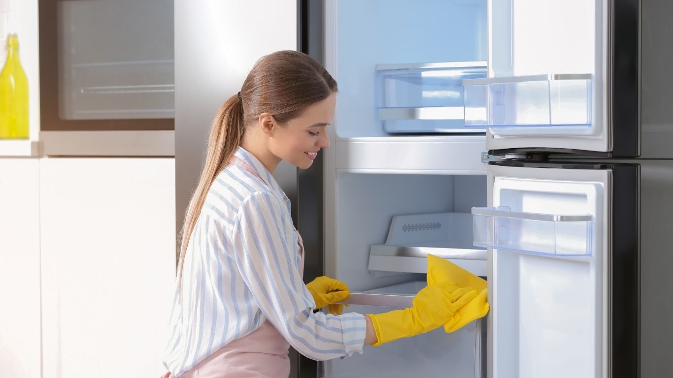 refrigerator repair (3)